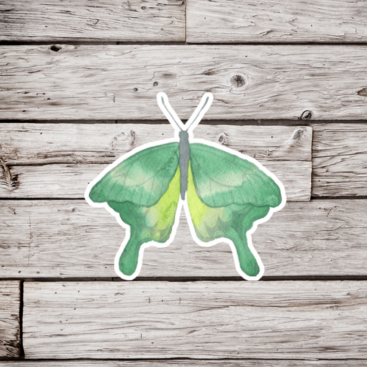 Moth Sticker or Magnet