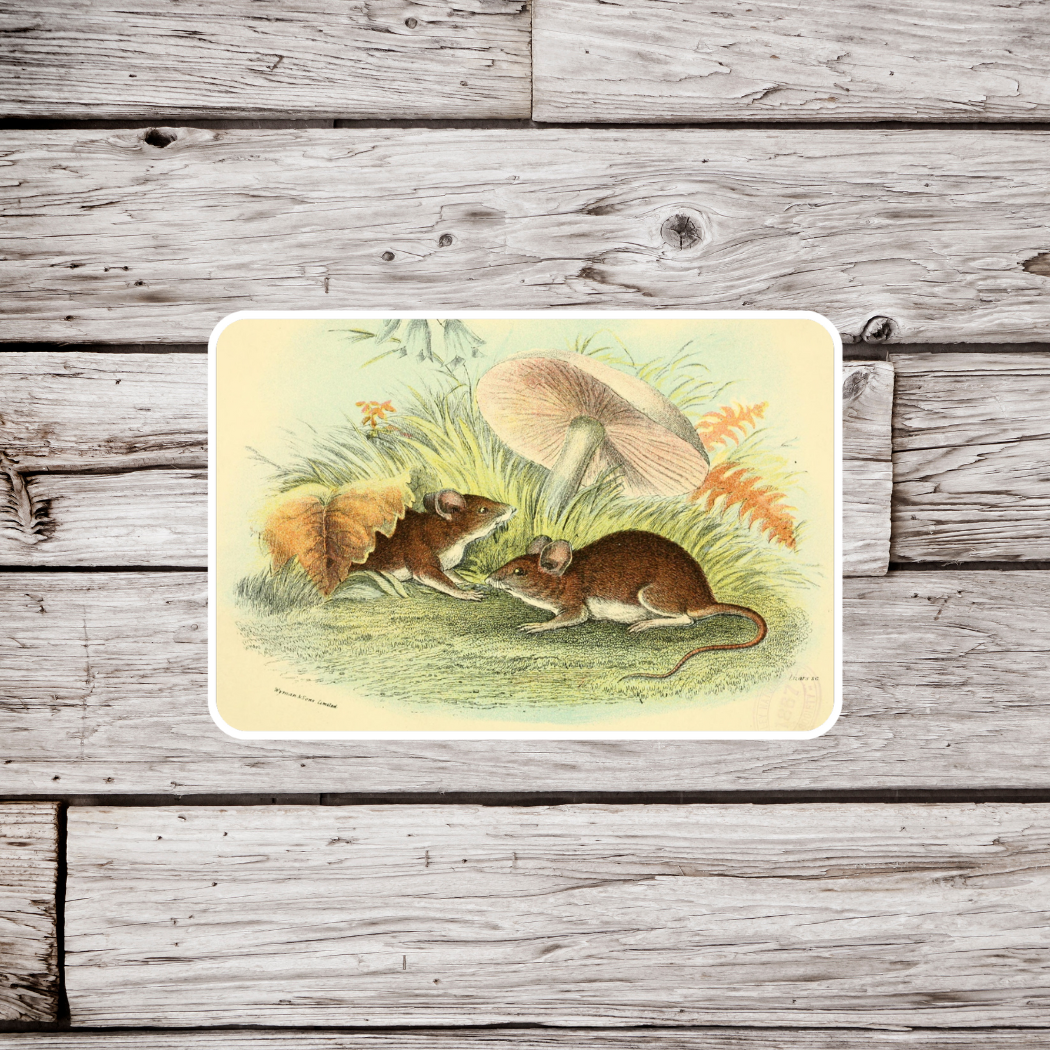 Field Mouse Sticker