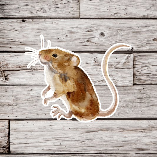 Mouse Sticker