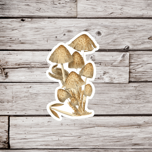 Mushrooms Sticker