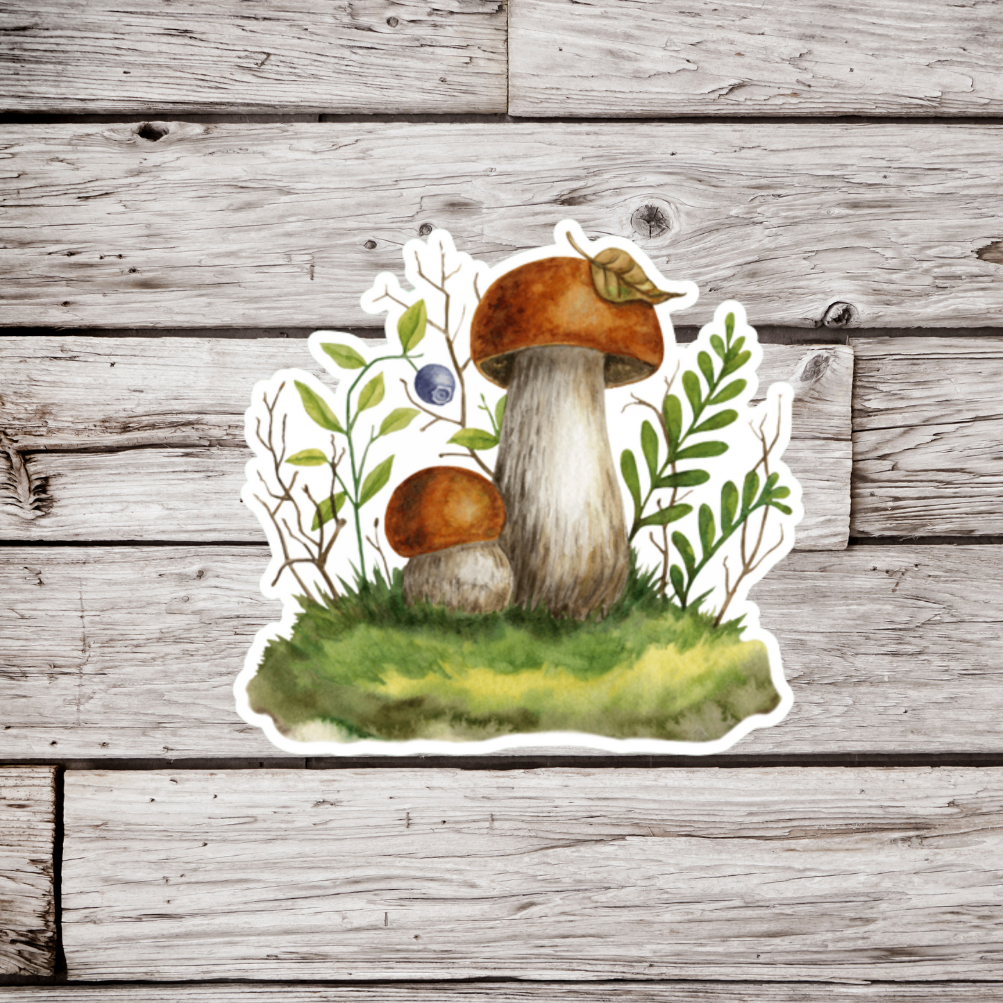 Mushrooms and Blueberry Sticker