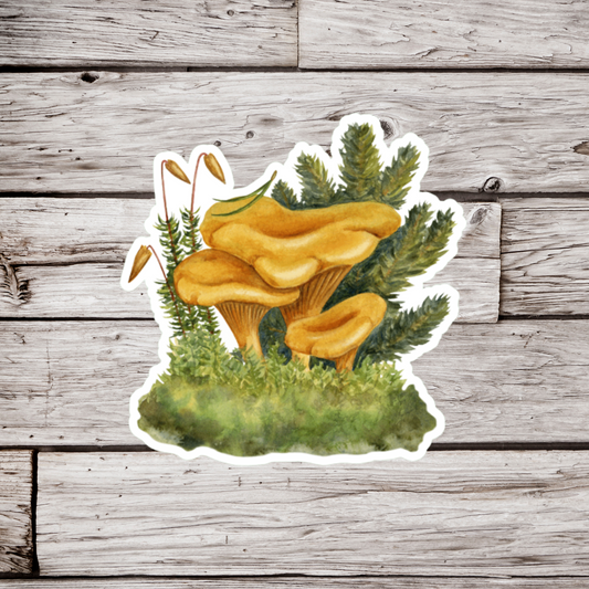 Mushrooms Sticker