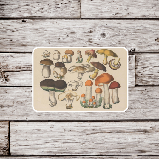 Mushroom Sticker