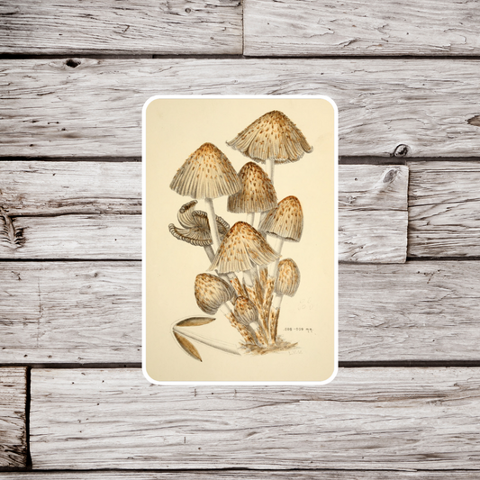 Mushroom Sticker