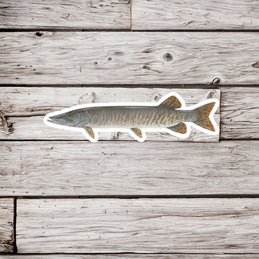 Muskie Sticker