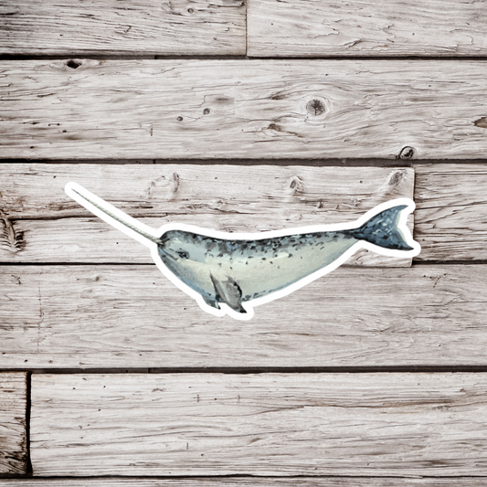 Narwhal Sticker