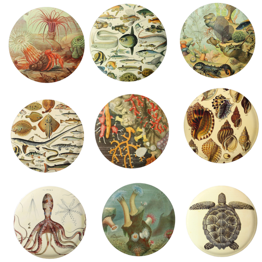 Natural History Ocean Pins Mix