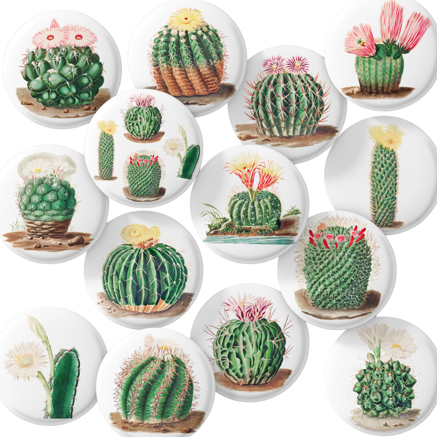 Botanical Cactus Mix Pins