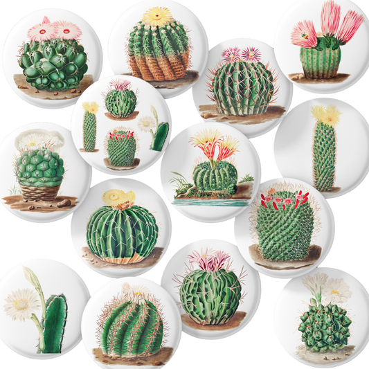 Botanical Cactus Mix Pins