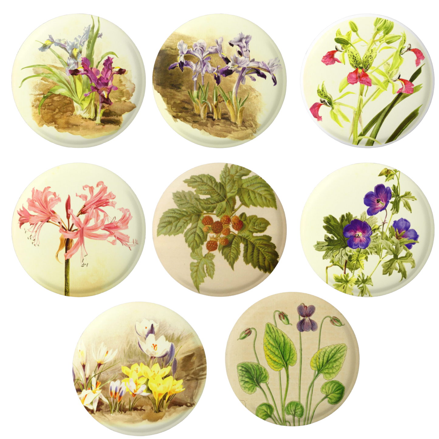 Natural History Botanical Mix Pins