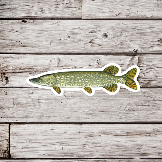 Northern Pike Sticker