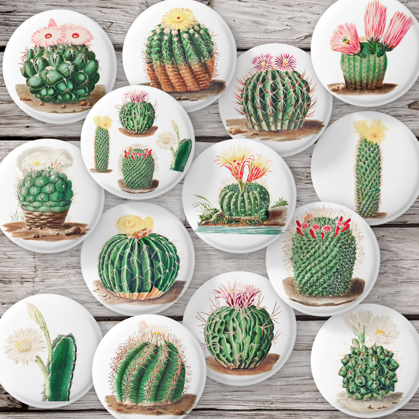 Botanical Cactus Mix Pins