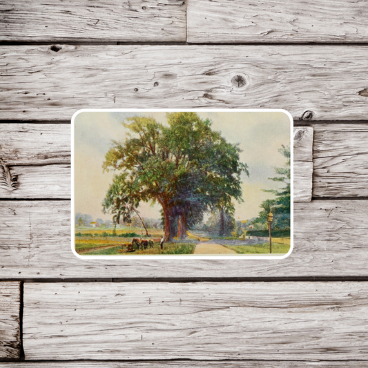 Oak Tree Sticker