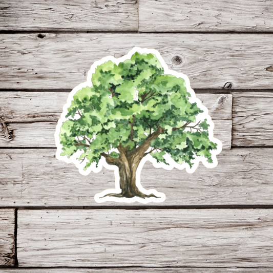 Oak Tree Sticker