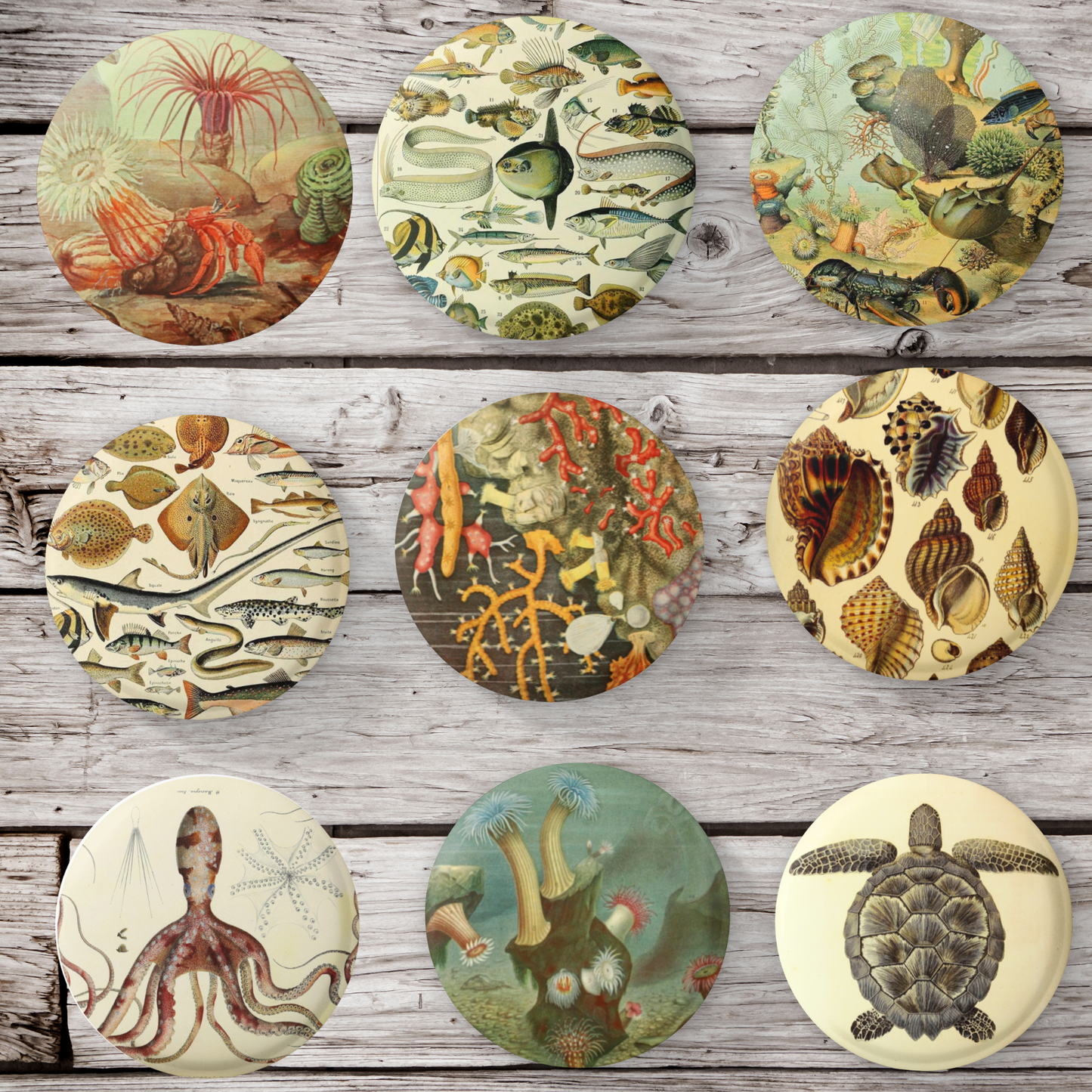 Natural History Ocean Pins Mix