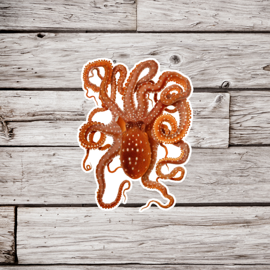 Octopus Sticker