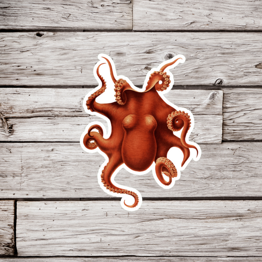 Octopus Sticker