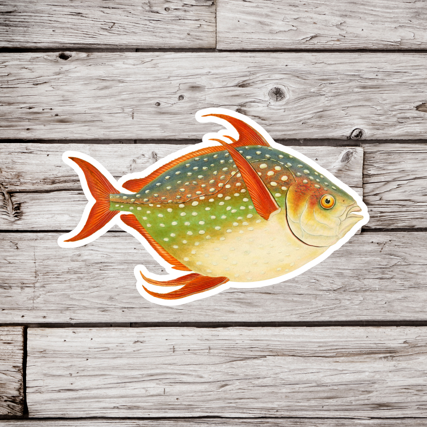 Opah Fish Sticker