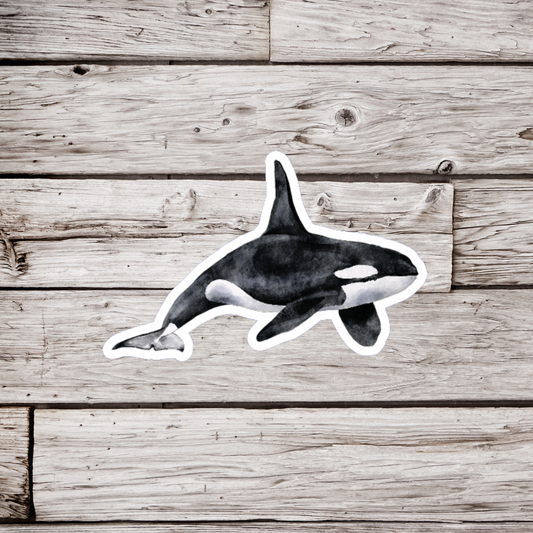 Orca Sticker