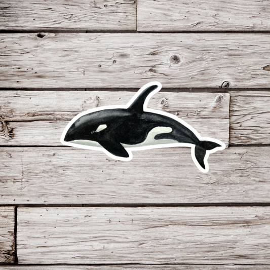 Orca Sticker