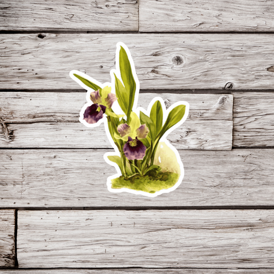 Orchid Zygopetalum Sticker