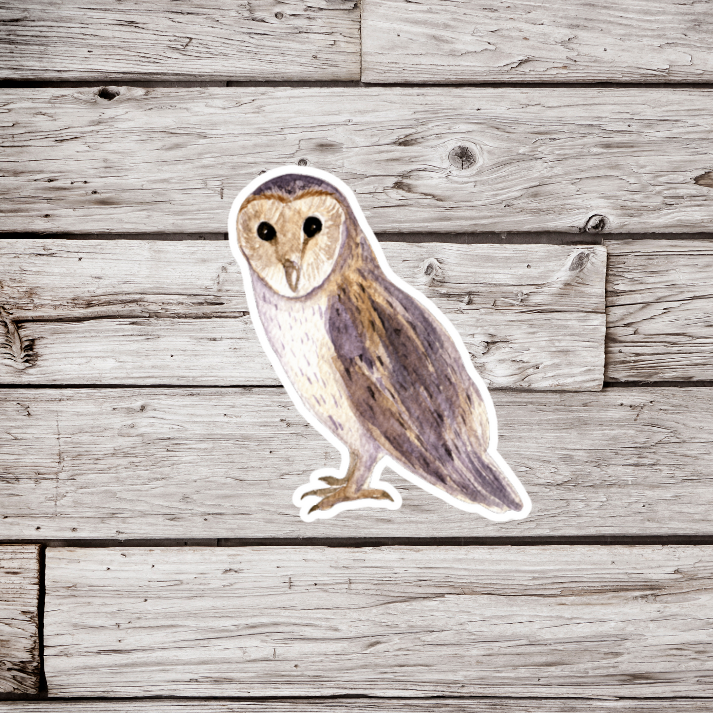 Owl Sticker