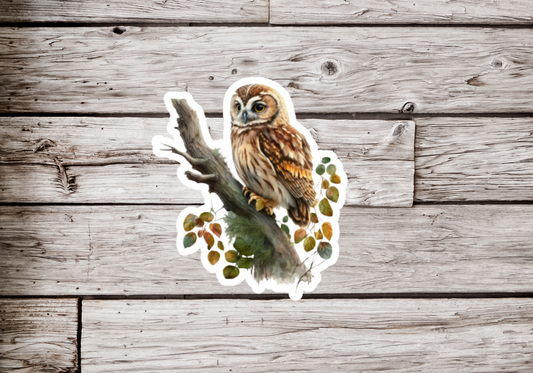 Owl Sticker