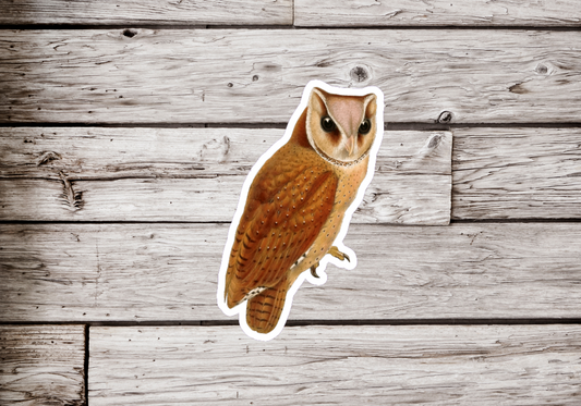 Owl Sticker