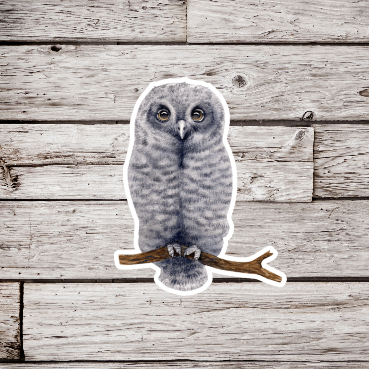 Grey Owl Sticker