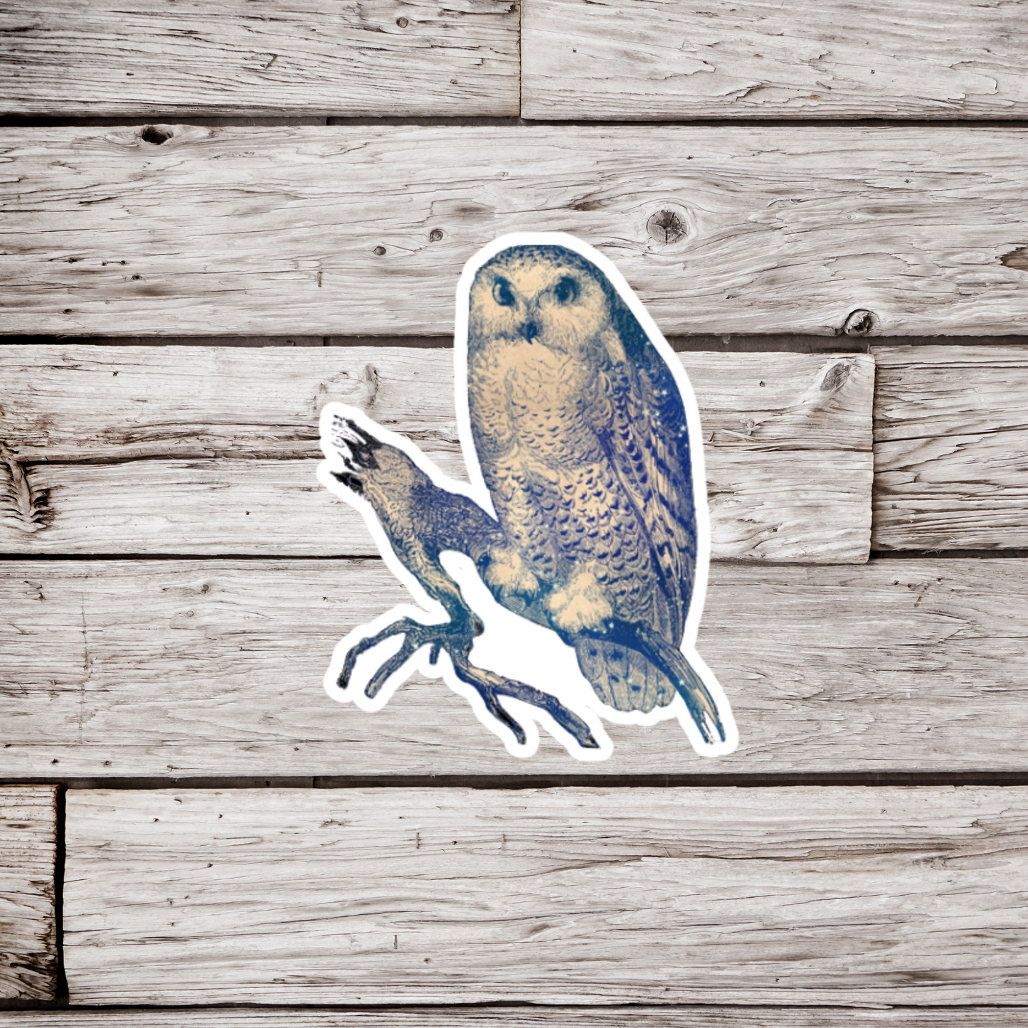 Celestial Owl Sticker