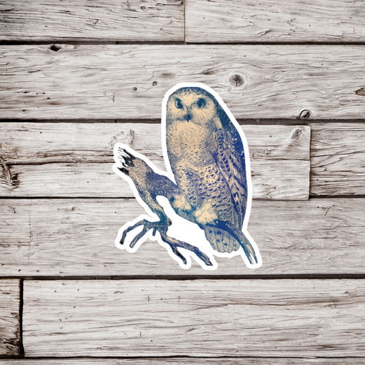 Celestial Owl Sticker