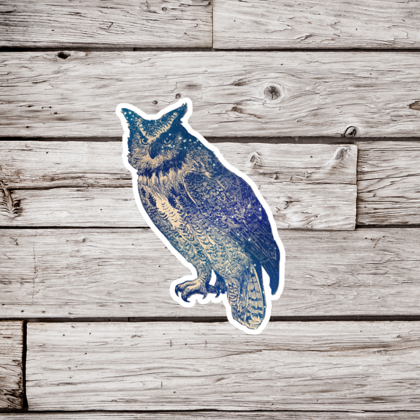 Celestial Owl Sticker