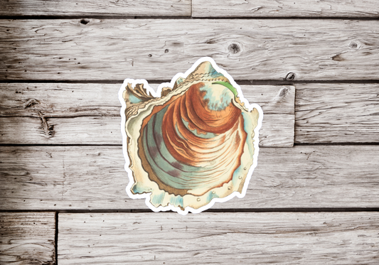 Oyster Sticker