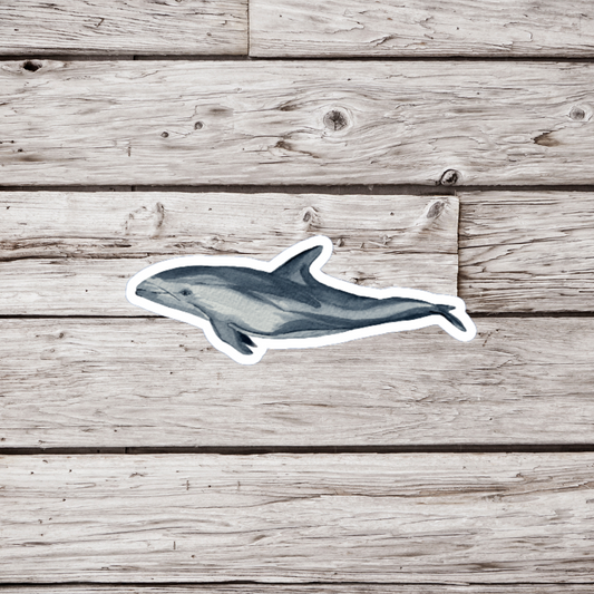 Pacific White Sided Dolphin Sticker