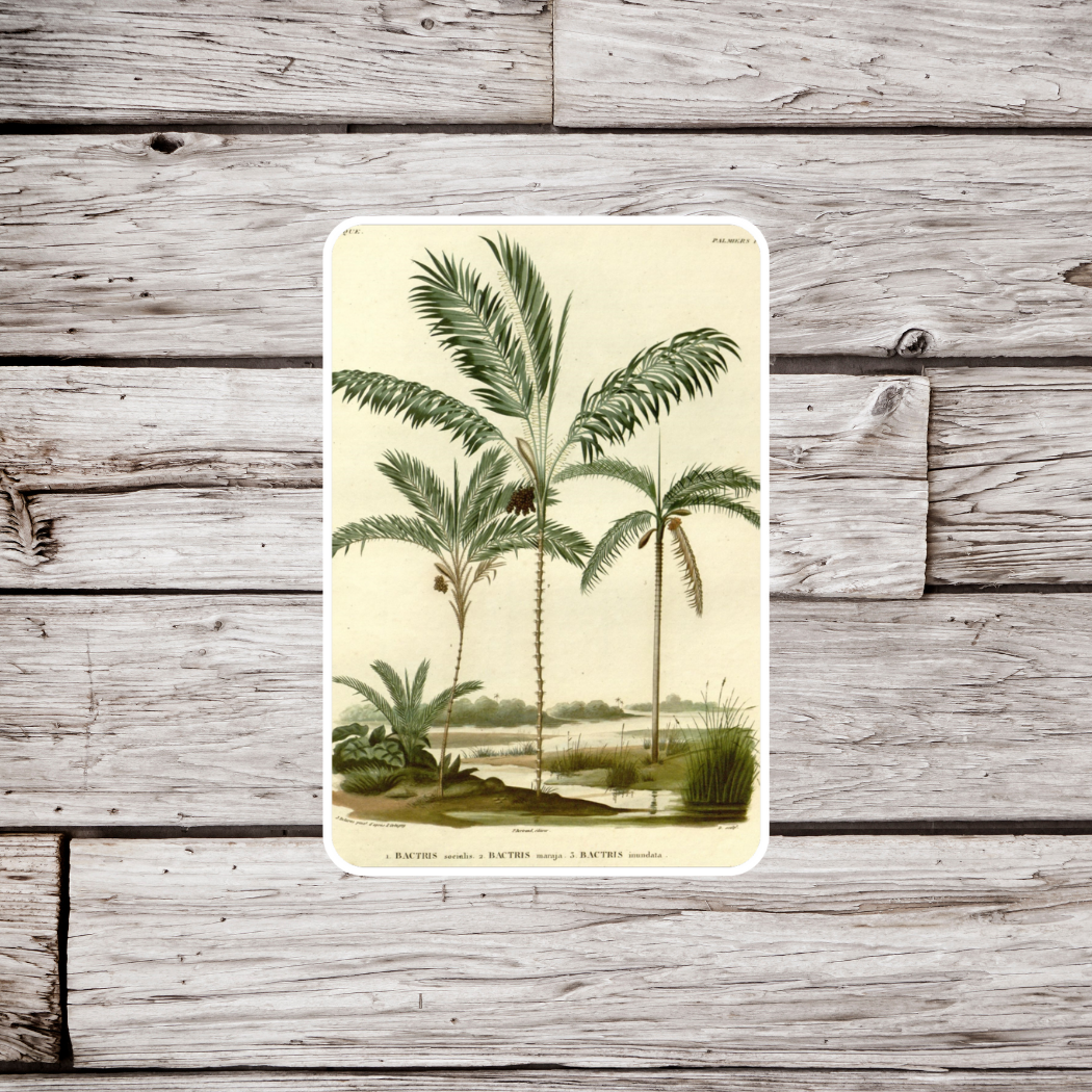 Palm Tree Sticker