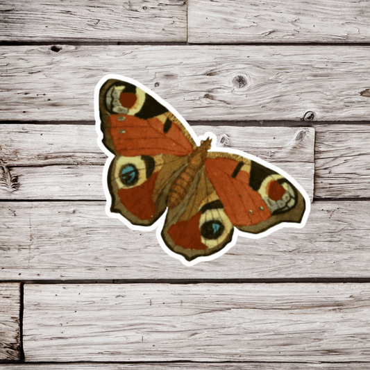 Peacock Butterfly Sticker or Magnet