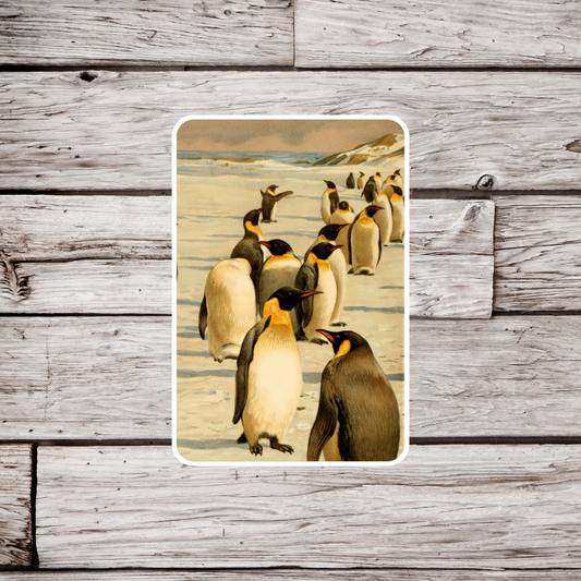 Emperor Penguin Sticker