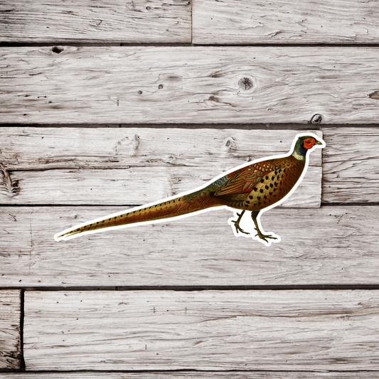 Pheasant Sticker