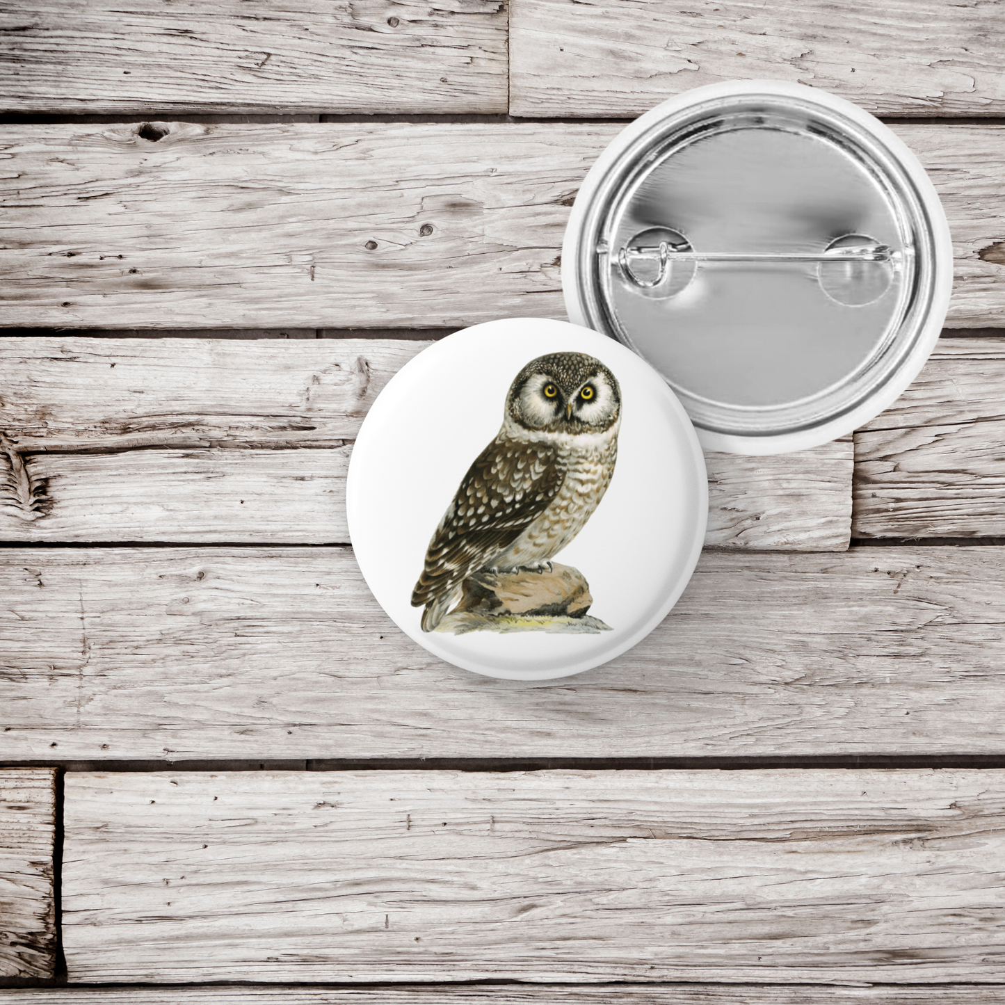 Boreal Owl Pin Back Button, Magnet, Keychain