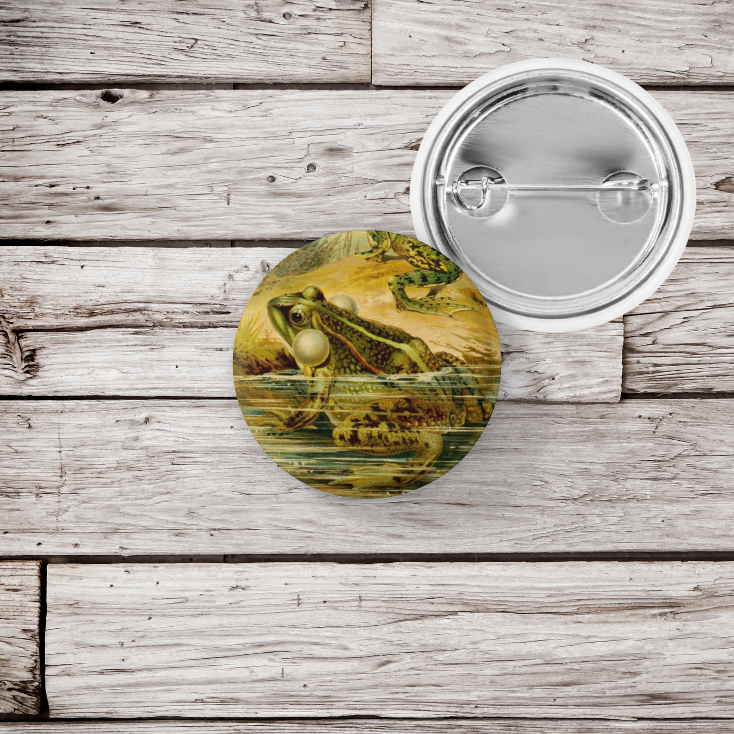 Frog Pin Back Button, Magnet, Keychain