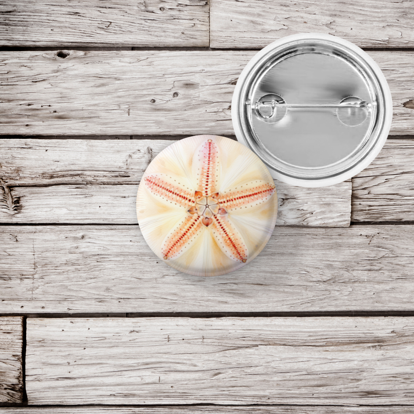 Sand Dollar Pin Back Button, Magnet