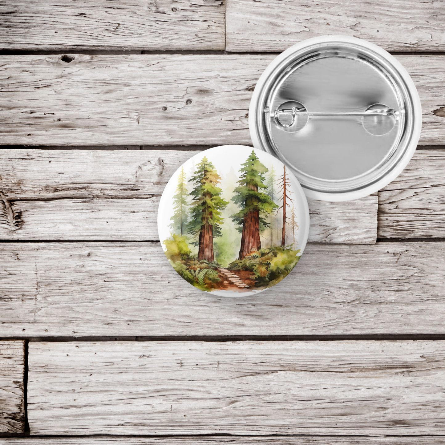 Redwood Forest 3 Pin Back Button, Magnet, Keychain