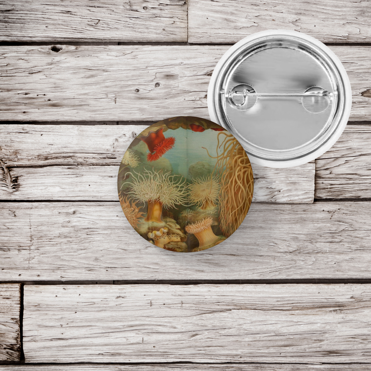 Sea Anemone Pin Back Button, Magnet, Keychain