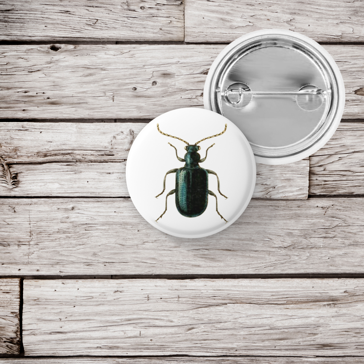 Beetle Pin Back Button, Magnet, Keychain