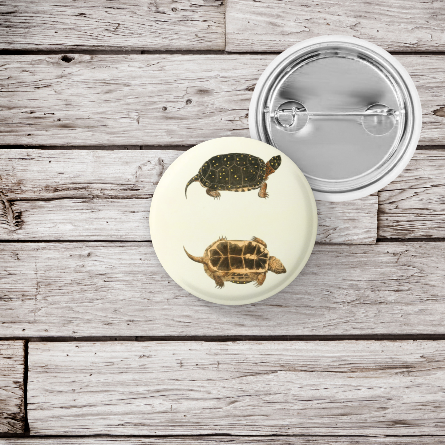 Spotted Turtle Pin Back Button, Magnet, Keychain