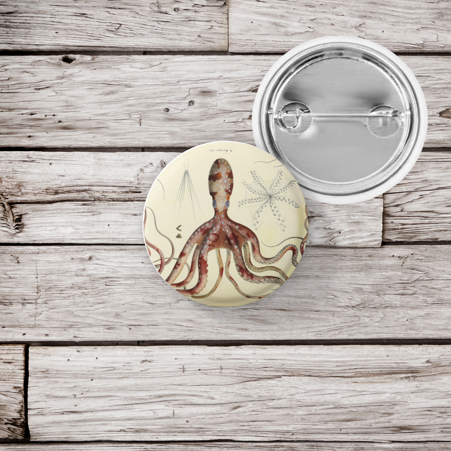 Octopus Pin Back Button, Magnet, Keychain