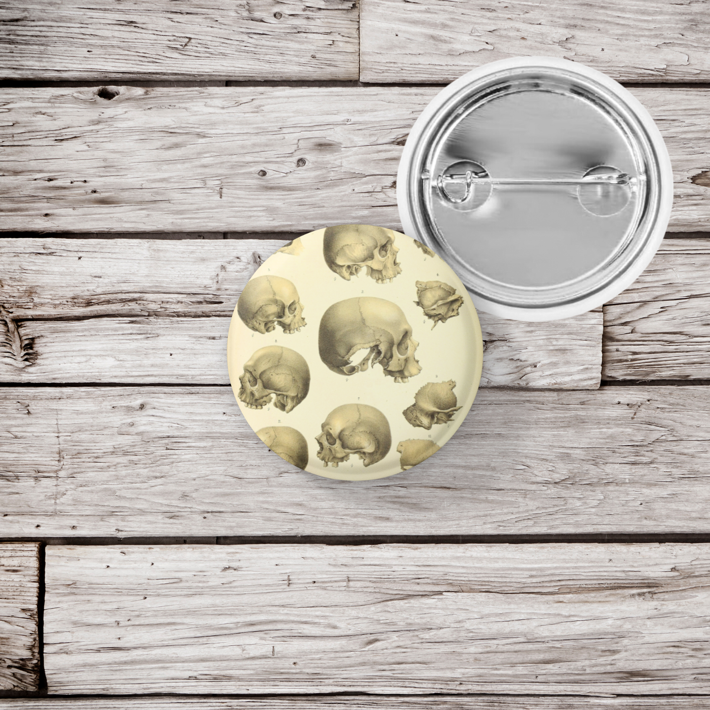 Skull Pin Back Button, Magnet, Keychain