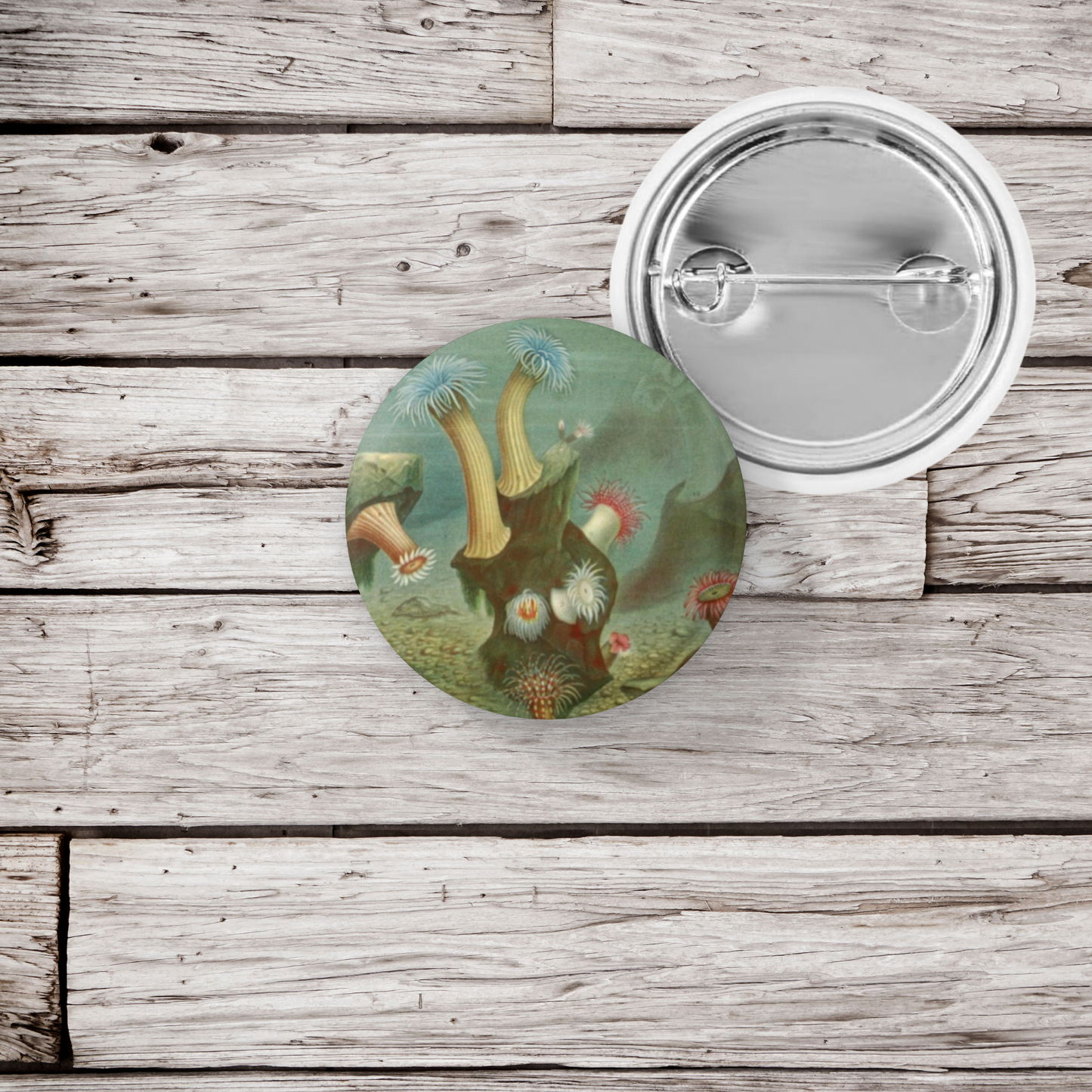 Sea Anemone Pin Back Button, Magnet, Keychain