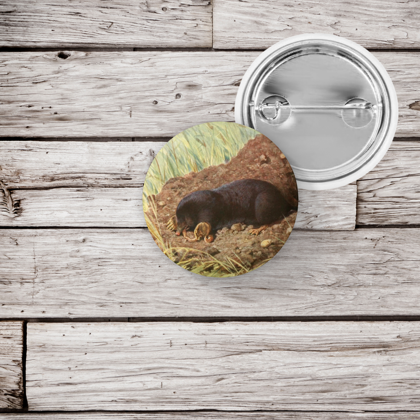 Mole Pin Back Button, Magnet, Keychain