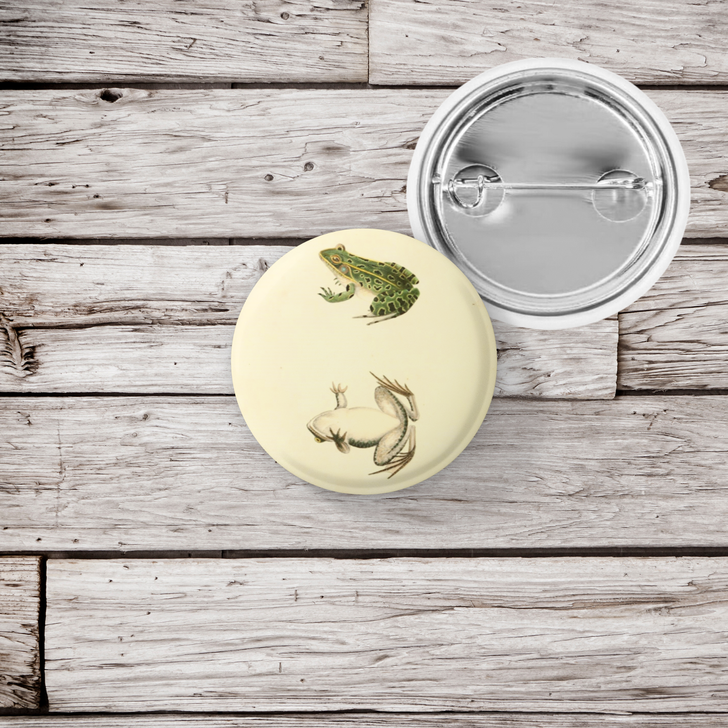 Leopard Frog Pin Back Button, Magnet, Keychain